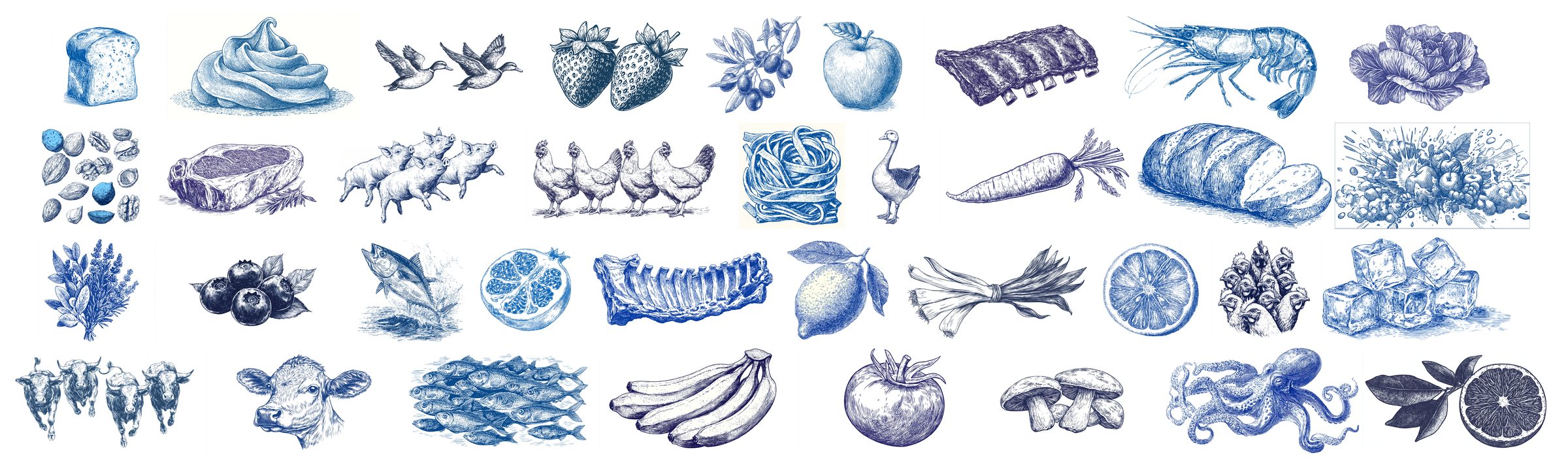 A wide sheet of blue-and-white engraved illustrations — vegetables, fish and shellfish drawn as catalogue assets