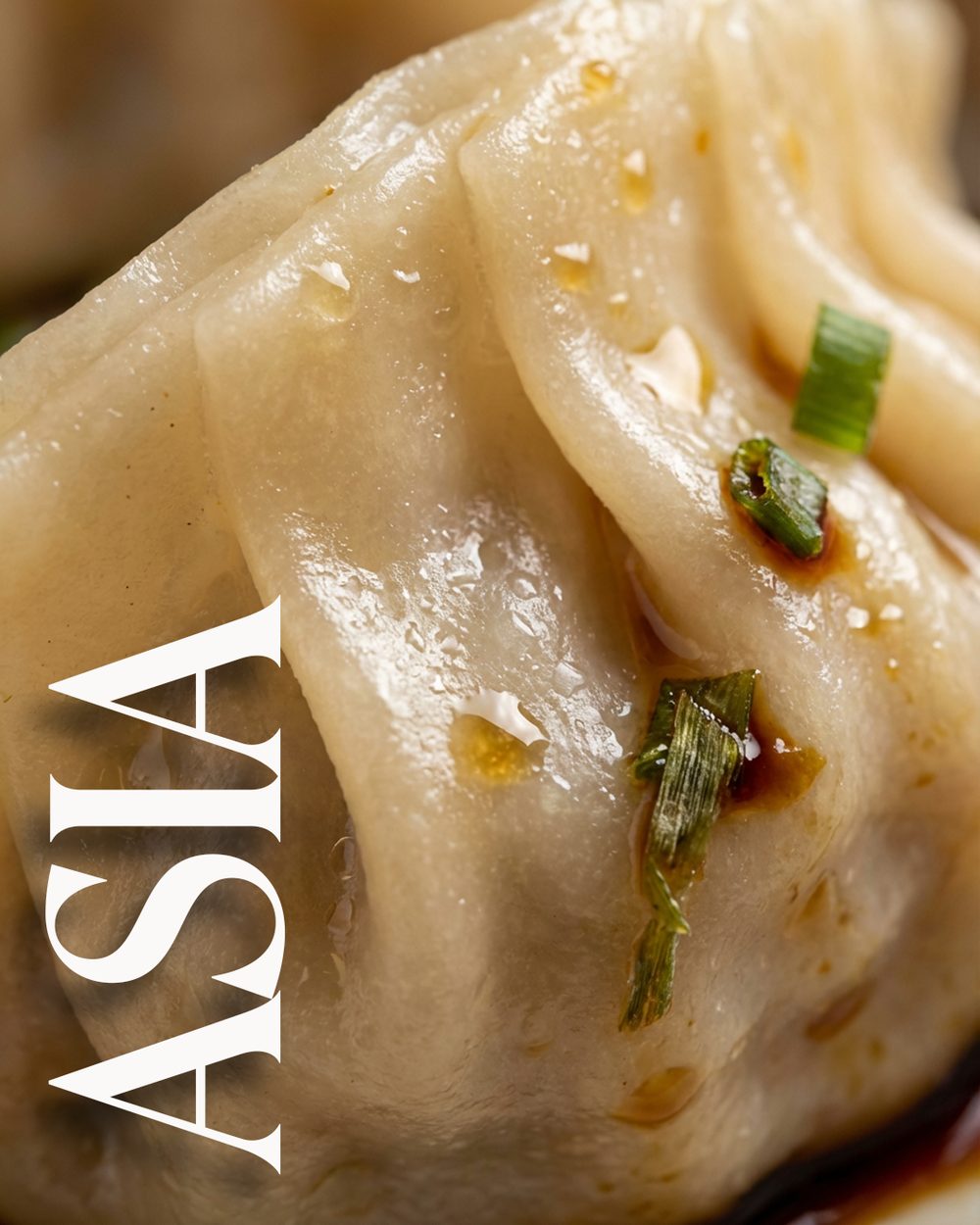 Catalogue cover — 'Asia', a close-up of steamed dumplings