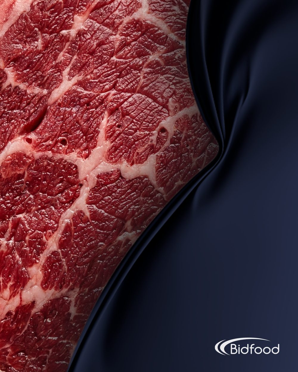Catalogue cover — marbled raw beef against navy drapery