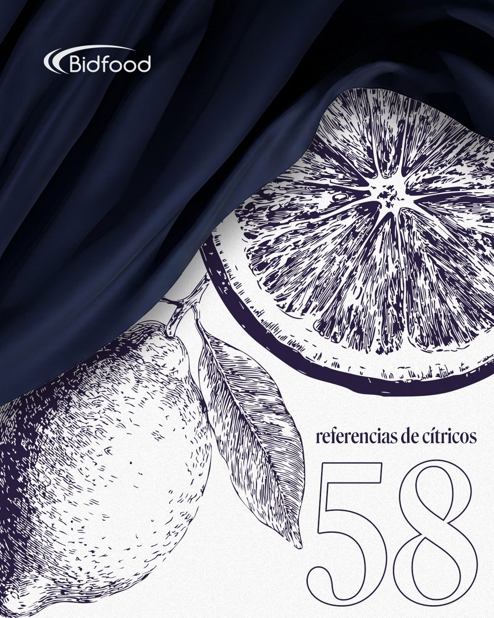 Catalogue cover — engraved citrus on navy drapery, '58 referencias de cítricos'
