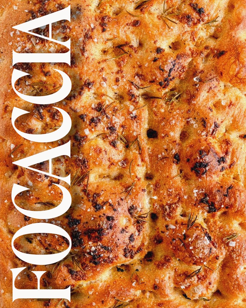 Catalogue cover — 'Focaccia', a close-up of rosemary focaccia