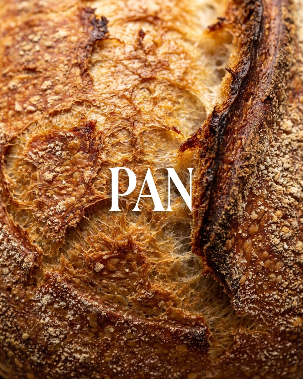 Catalogue cover — 'Pan', the crust of a rustic sourdough loaf