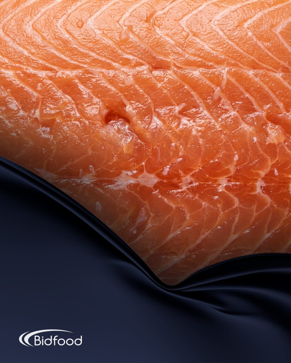 Catalogue cover — a raw salmon fillet beside navy drapery