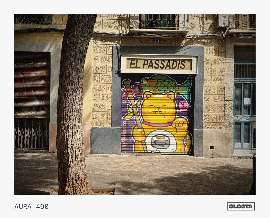 A colourful mural on a shop shutter reading 'El Passadís', framed with SloSta's AURA 400 film stock