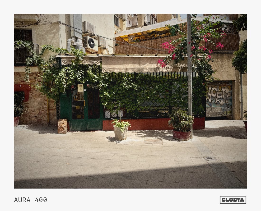 A leafy plant-covered corner of a city street, framed with SloSta's AURA 400 film stock
