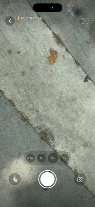 SLOSTA viewfinder — a live scene of pavement and a fallen leaf, with a frame counter, level, zoom options and a large shutter button, and no preview of past shots